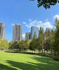 �ڷ�������᲻�������