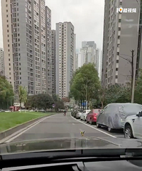 µĵÿϰ࣬ĽÿС