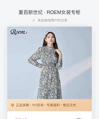 ��������ROEM����
