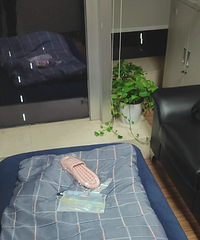疫情下的单身生活:努力工作,努力找媳妇