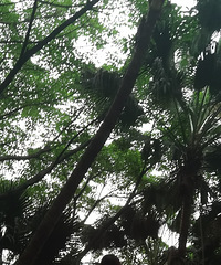 91��157CM�Ĺ������С������飬ϣ��������165����