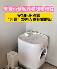 北京小伙领养宠物被店主催脱单
