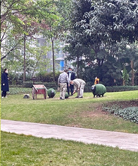 �ھ�����ֻ��װ�α����ߣ�ԭ���ǲ��������𵽳�Ȧ