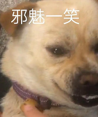 ������Щ����ȷʵ���ķ��������ˣ�