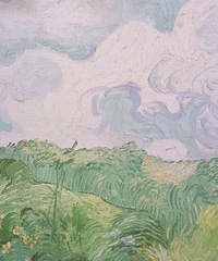 89OСװҰٵĸоȫռ50