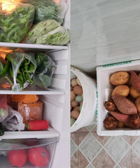 ��Ĭ�ڼң�ɹɹ�͵����ͻ�ʳ