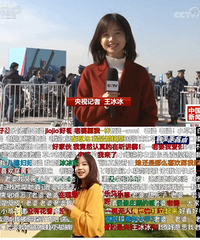 ����Ҫ������������ը��