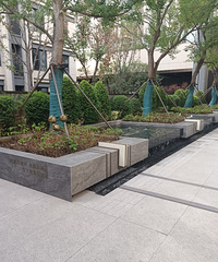 �����Լҷ�������ѧ�̸�