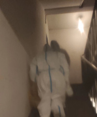 �����µĵ������������ħ����������ɢ��