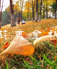 ���빫԰.�������