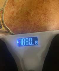 �ٲ���⣬����Ҫ����¼�ˣ�