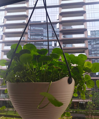 ������֣�������������Ļ���ʲôѽ��