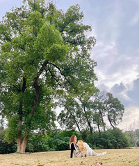 �����µĵ������ȥ���ٵĵط��ﹷ���˶�����ˡ�����ѧϰ