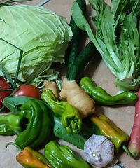 �̵�һ����Ŀǰ�˽⵽�ĸ��������߲˰�����ӭ����