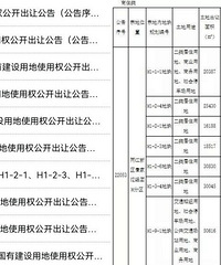 ���췢��2022�����ĳ������������г��õؿ鹫��