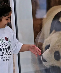 ���������籭���й�����а���