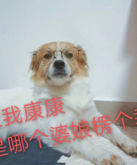 ���챻���߹�����