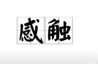 原来大家都偷偷勒紧了裤腰带……