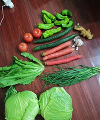 ��˵˵�����߲˰���������յ��Ĳ���ʲô��