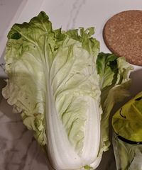 ����˵˵�����������������Ҳ����ԵĲ���ʲô