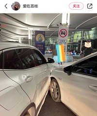 ��һ�������ȶ��İ�����ɶ����