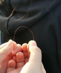 �о����ͷ������һ���Ҫ�����ɳ�����򼾫��