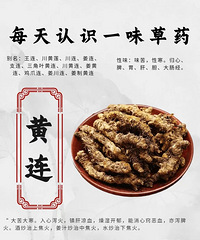 ÿ����ʶһζ��ҩ����������