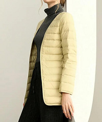 ��������������ִ���������������ڵ���