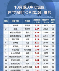 10���������ĳ���סլ����TOP20��Ŀ��¯