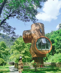 88��163CM˶ʿѧ���Ĵ�ѧ�ڱ��ʦ���飬ϣ���㱾�Ƽ�����