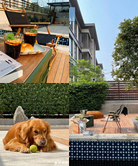 居家十几天,有个小院提前进入退休生活