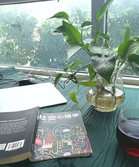 疫情下的单身生活:难得这么好的阳光,出来晒晒,不负好时光