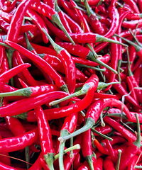 ����Ȼ����ɫ��ů�������