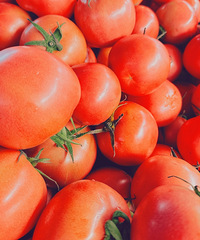 ����Ȼ����ɫ��ů�������