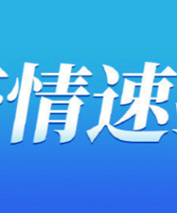 11月25日0—24时,重庆市新增病例199+7522例