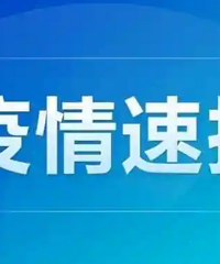 重庆市新增病例194+8667