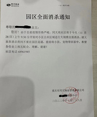 �����Ԯ�ӵ���С��ȫ����ɱ�ˣ���������֯��ţ