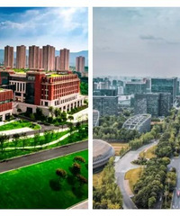 ����ʵʩ14���ش���Ŀ���������ظ�������δ�������ж�����