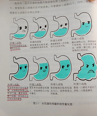 ���ڳԷ����ֱ������ʣ��߷ֱ���ʱ��Ϳ���ֹͣ��ʳ