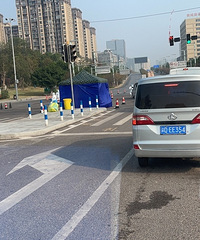 疫情下的单身生活:就这样我连续在家休息了10天后上班了