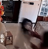 ���ӱ�����������ì��