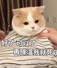 降温了!真诚发问「真的存在时尚与保暖共存的穿搭」吗?
