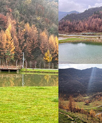 不出渝感受超美的秋天,这条线不输川西