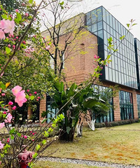 ����һ�𿴿����ڻ�԰���Ʒ�ʳ�������ô�����أ�