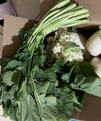 ů���߲ˣ����й��̷���ԭ³�ܿ������ţ����칫˾����