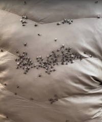 ��֪����ʲôԭ�������Ǻ�����ȥ��һ����