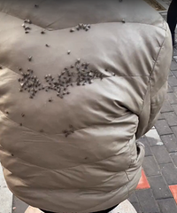 ��֪����ʲôԭ�������Ǻ�����ȥ��һ����