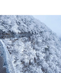 һҹ붬Ժжѩʲôʱֵ