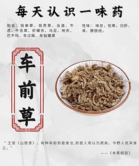 ÿ����ʶһζ��ҩ������ǰ�ݡ�