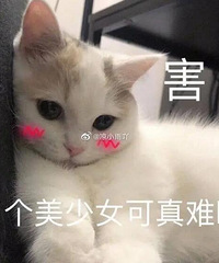 �˶��Ļ����б�Ҫ����ĭ���������